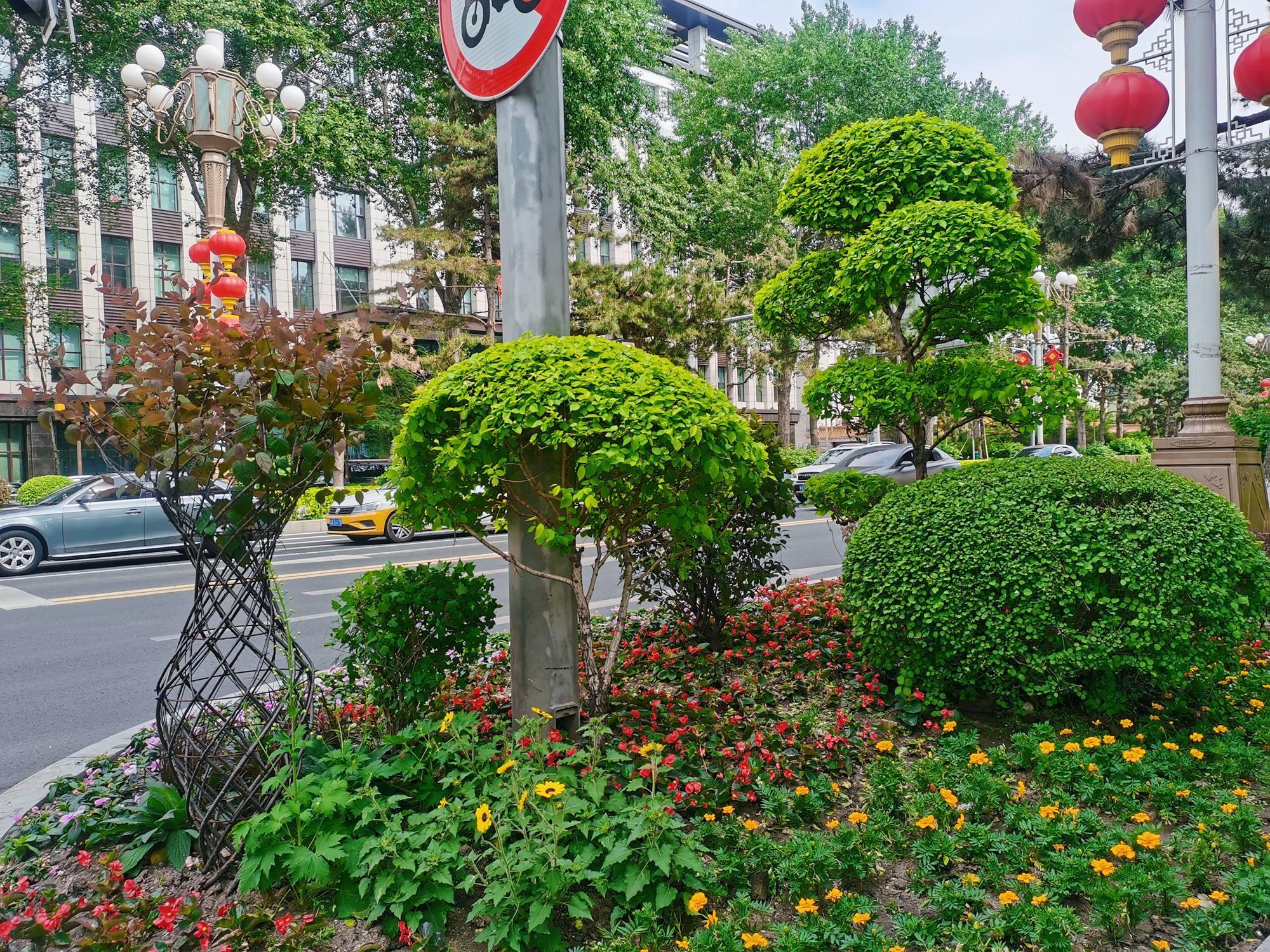解放大路站分车带池头