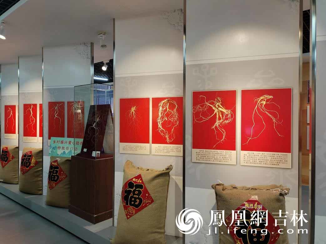 绿水青山成万良参农的“幸福靠山”