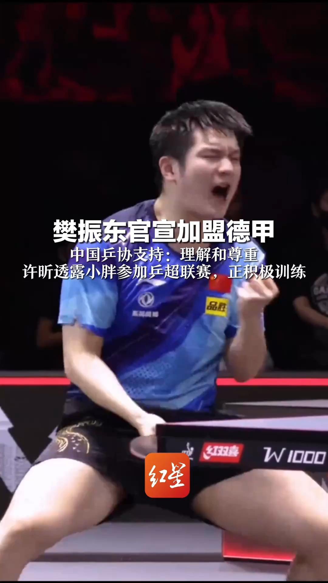 樊振东官宣加盟德甲 中国乒协支持：理解和尊重 许昕透露小胖参加乒超联赛，正积极训练