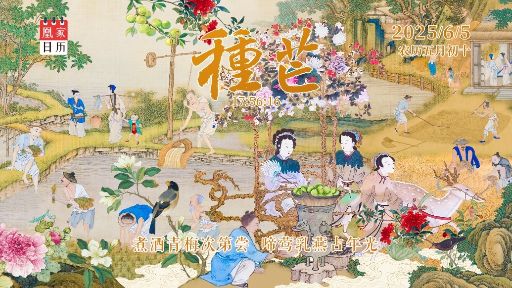 凰家日历丨煮酒青梅次第尝　啼莺乳燕占年光