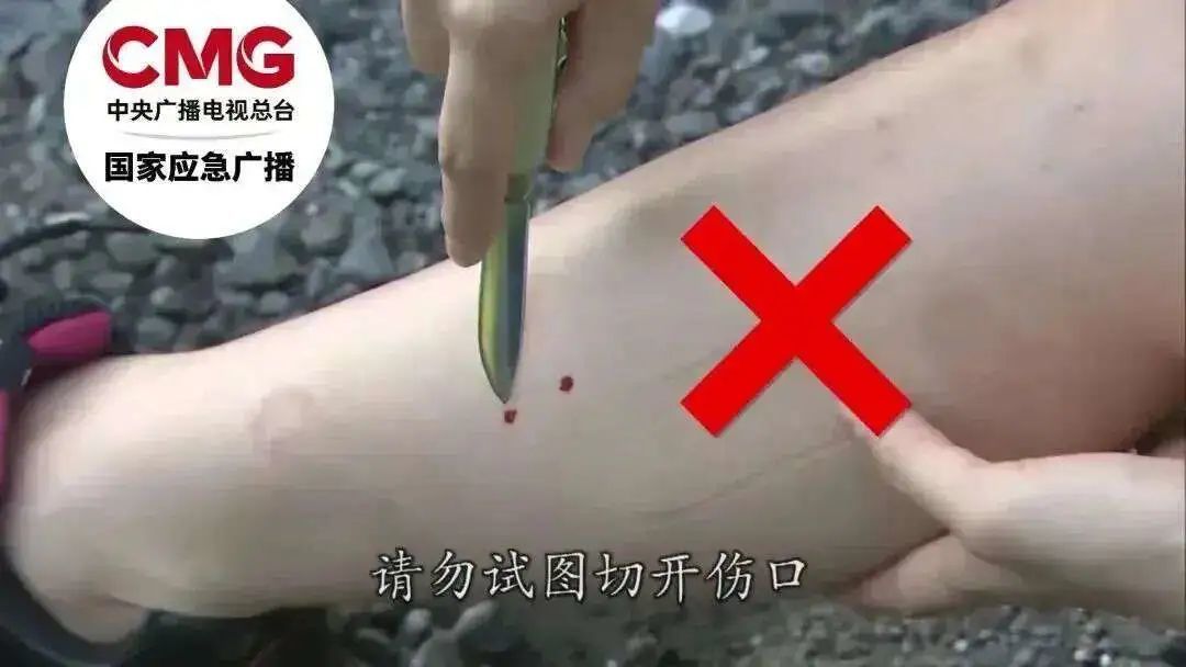 余干县一居民家惊现剧毒银环蛇 长度超过1米（图）