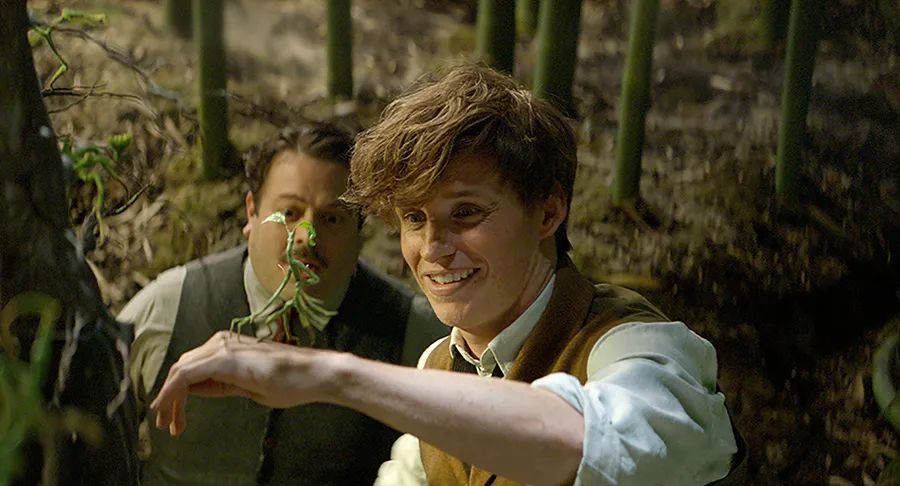 抖音知识再进化:极致内容,从稀缺场景中来