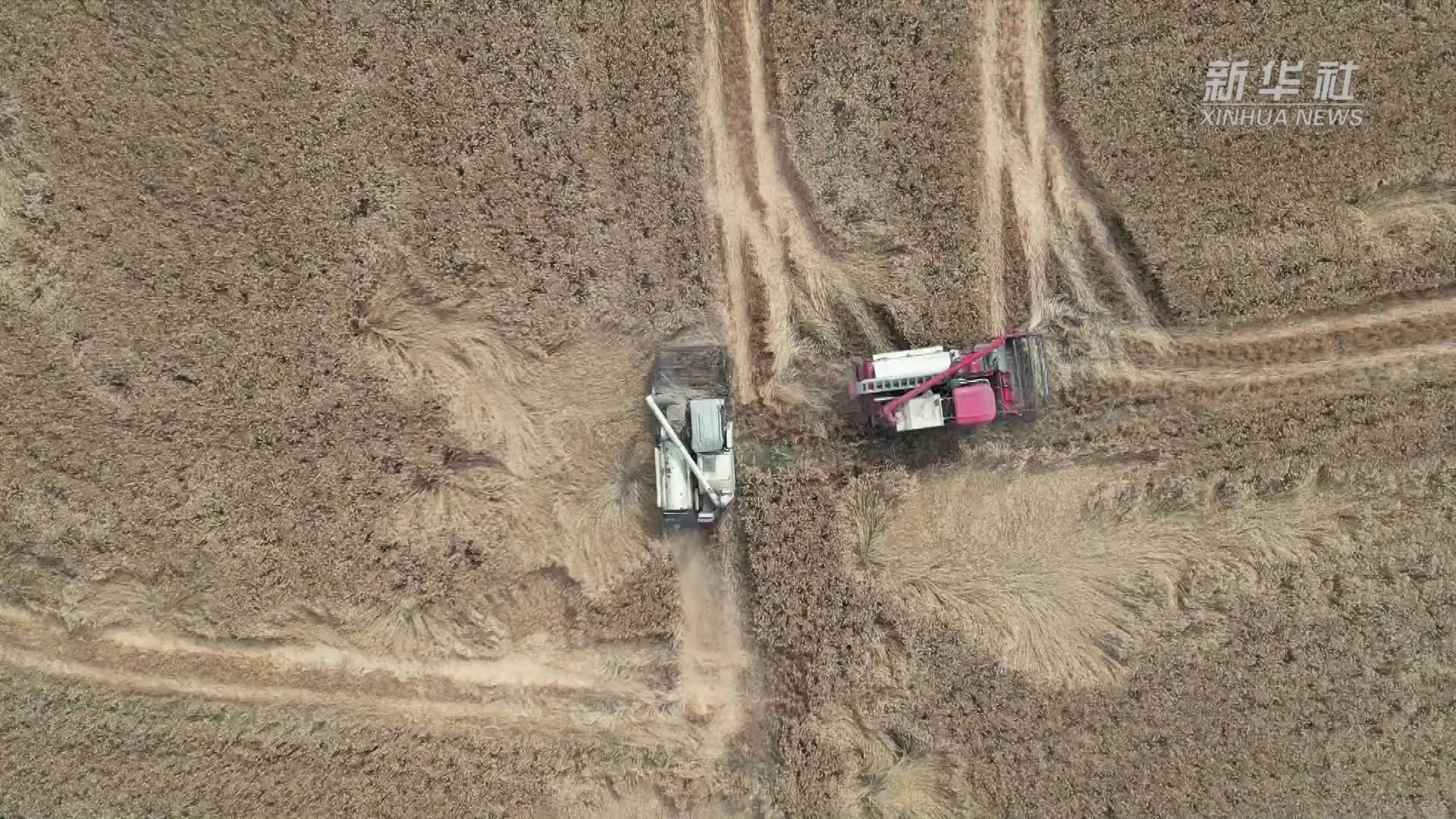 四川绵阳：新技术助力“双抢”勤服务合作共赢