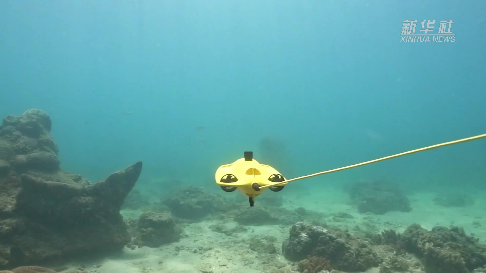 “好物”出海记｜水下“清洁工”“救生员”中国智能机器人“潜”拓海外市场