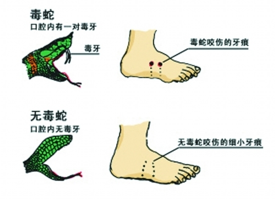 图源：中国消防