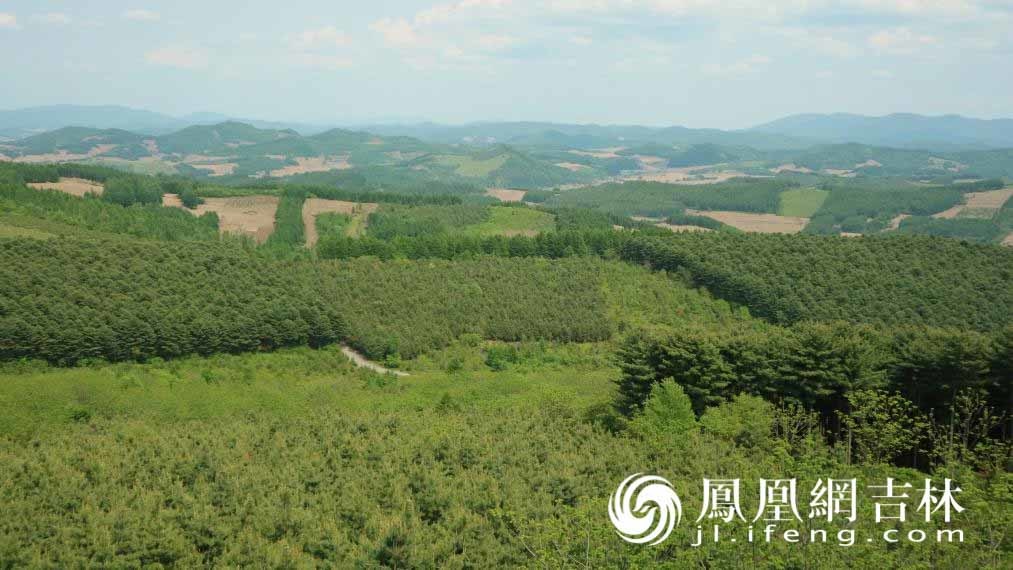 三棚村村民的“绿色银行”