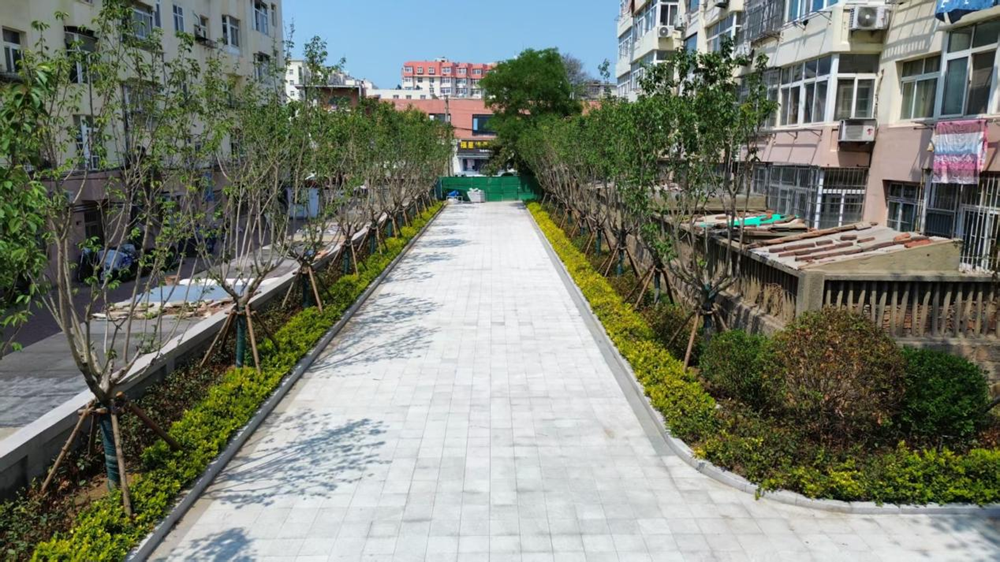 永安路邻里公园