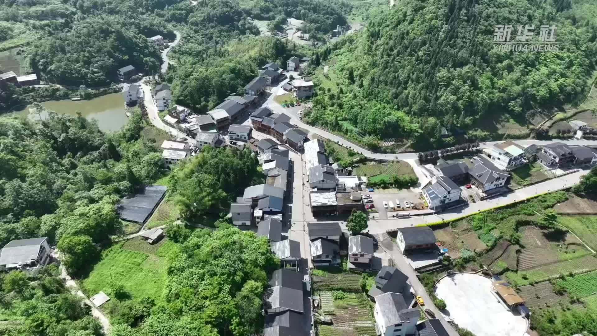 端午礼物：蜡染“粽子香包”