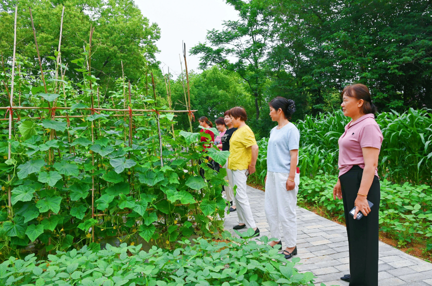 铜陵市铜官区开展主题活动助力乡村全面振兴