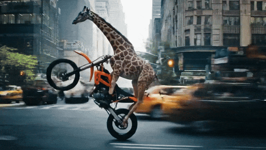 可灵与谷歌贴身肉搏