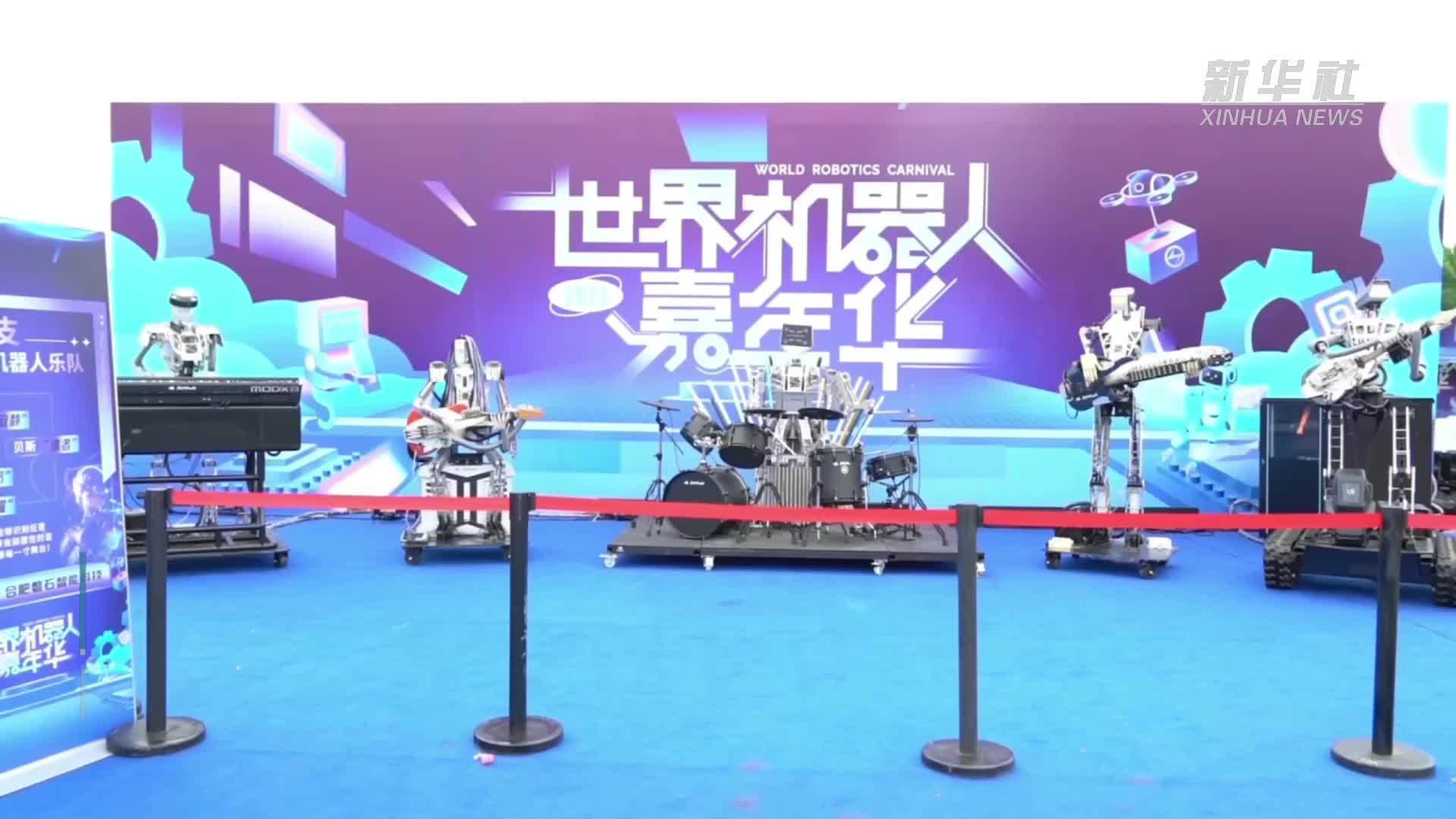这里有一场机器人派对：“世界机器人嘉年华”在武汉举行