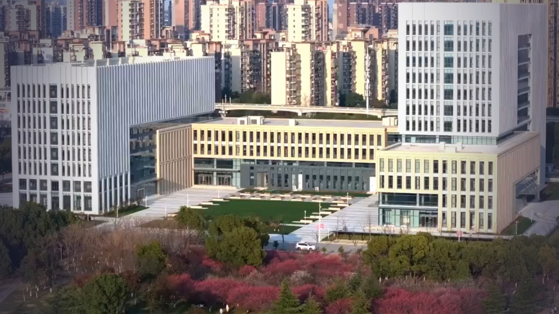 因猥亵被处分的男教师又到保卫处任职，安徽师大回应：仅做文字工作，给他留一口饭吃