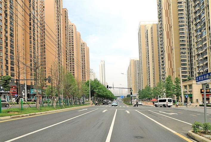 改造后的琴台大道让人耳目一新 肖敏摄