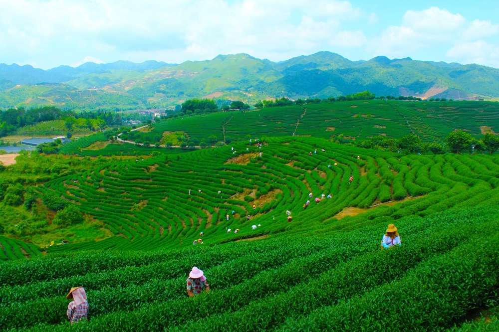 商洛市“十四五”生态环境保护十大成效