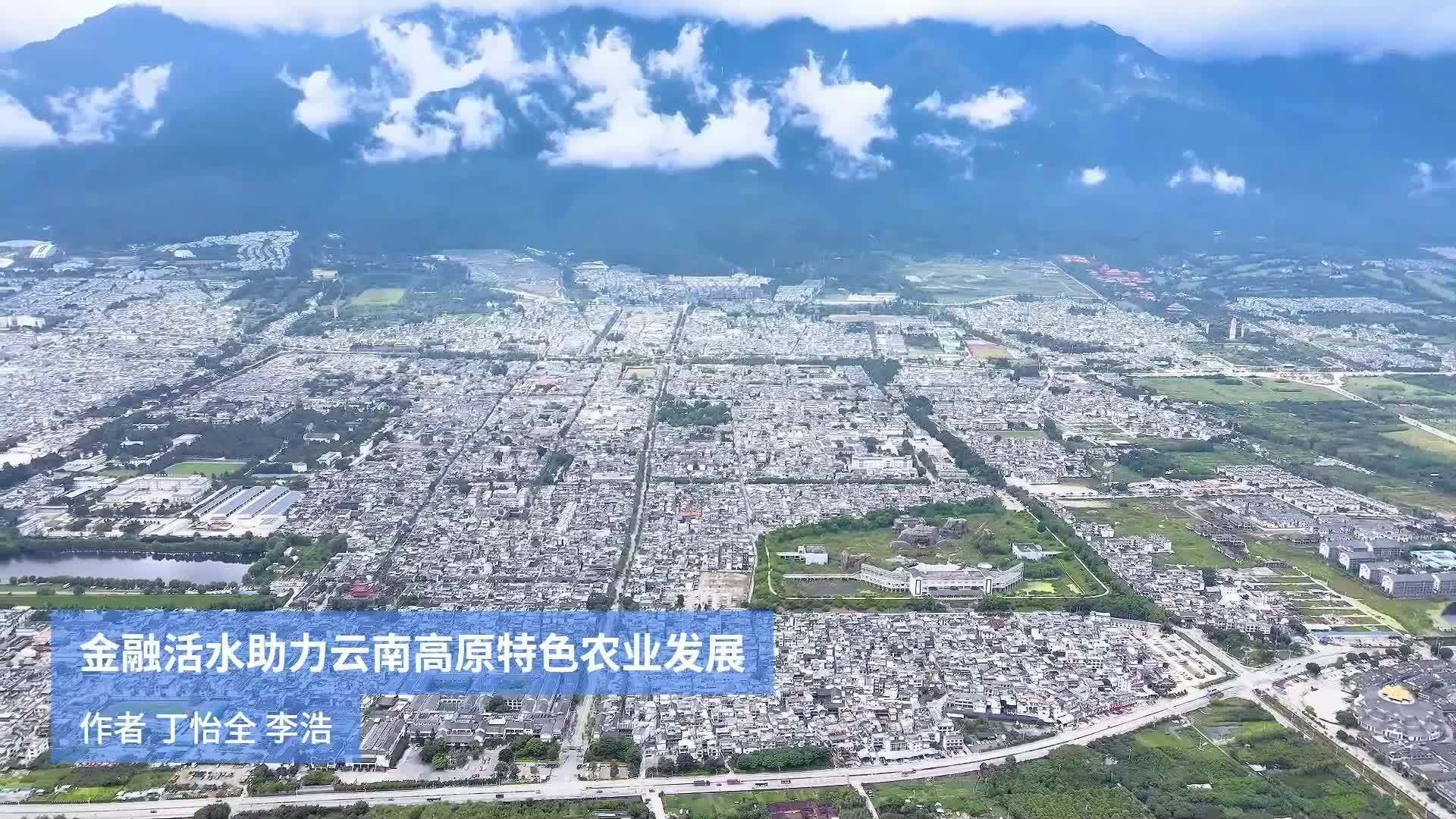 金融活水助力云南高原特色农业发展