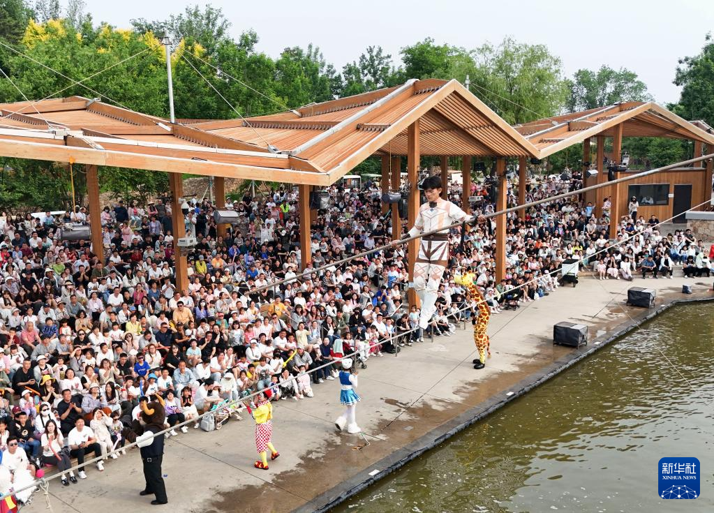 5月31日，游客在河北省秦皇岛市北戴河新区渔田七里海度假区观看杂技演出（无人机照片）。
