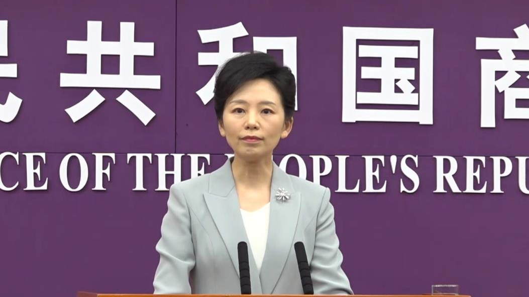 美国提高钢铝关税 中国商务部：损人害己
