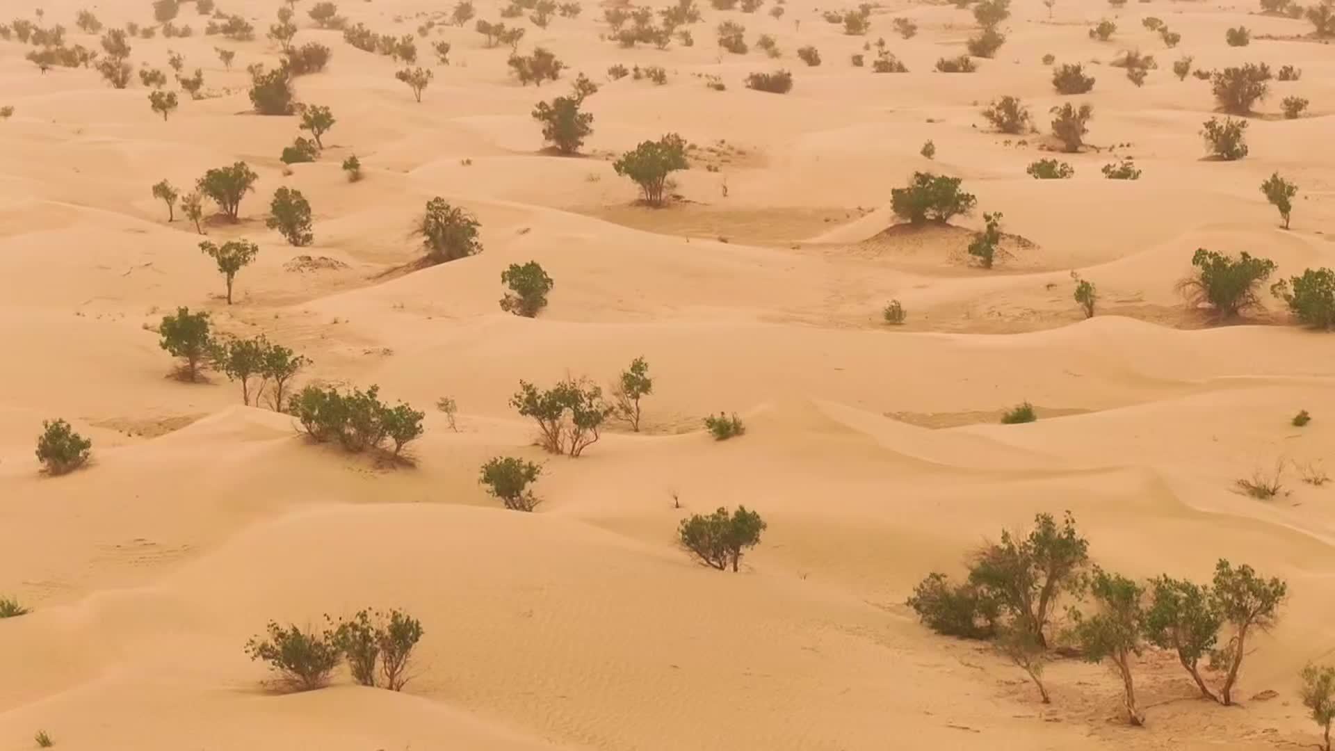 2025环塔｜沙尘暴中迎来决战阶段