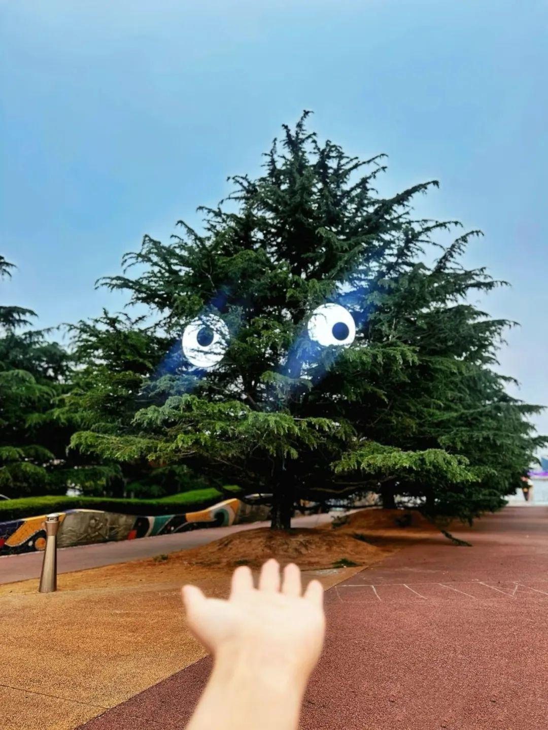 ◎是要跟我握手嘛？