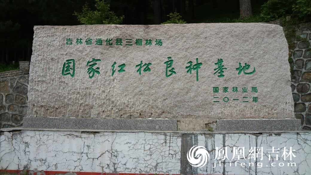 三棚村村民的“绿色银行”