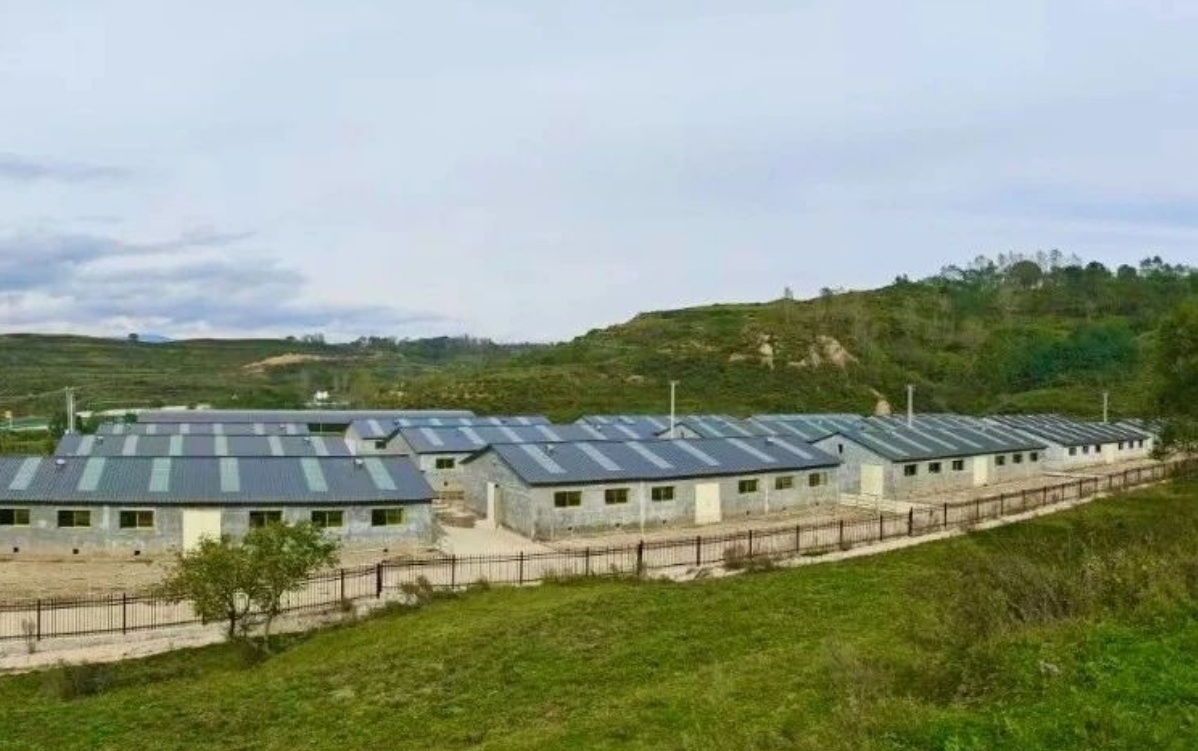 田野里药香与牧歌交织 华亭三产融合奏响富民曲