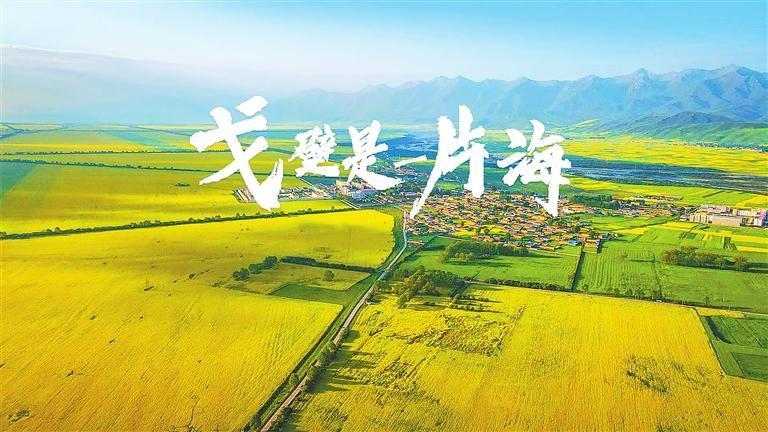 微纪录片《戈壁是一片海》海报