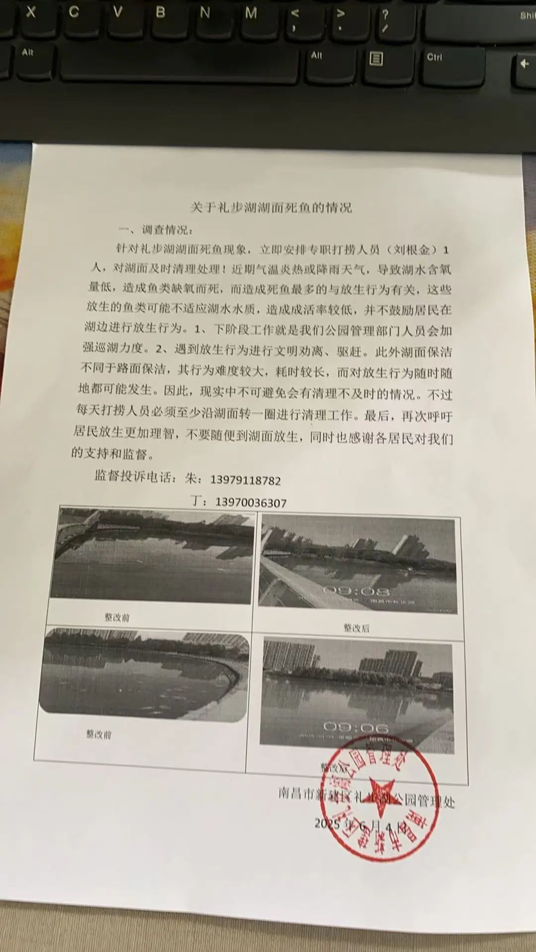 南昌新建区礼步湖公园湖面漂起成片死鱼 气味难闻还影响环境