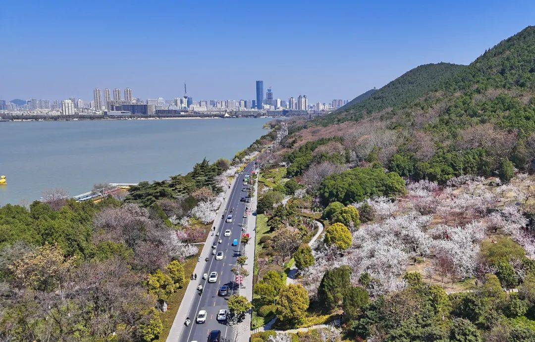 徐州泉山：环云龙湖经济带活力迸发