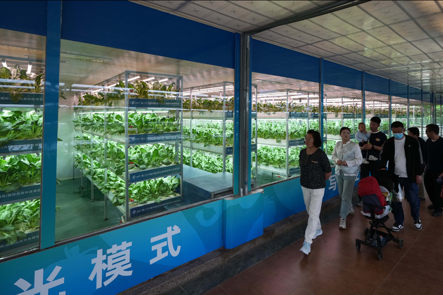 4月20日，在第二十六届中国（寿光）国际蔬菜科技博览会上，人们在观看植物工厂展示。新华社记者 徐速绘 摄