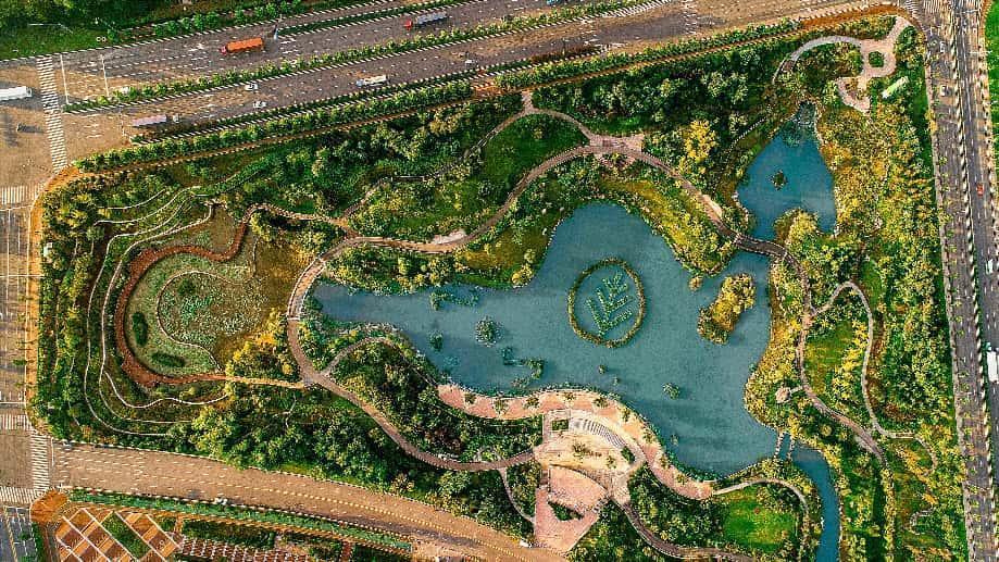 山王河湿地公园