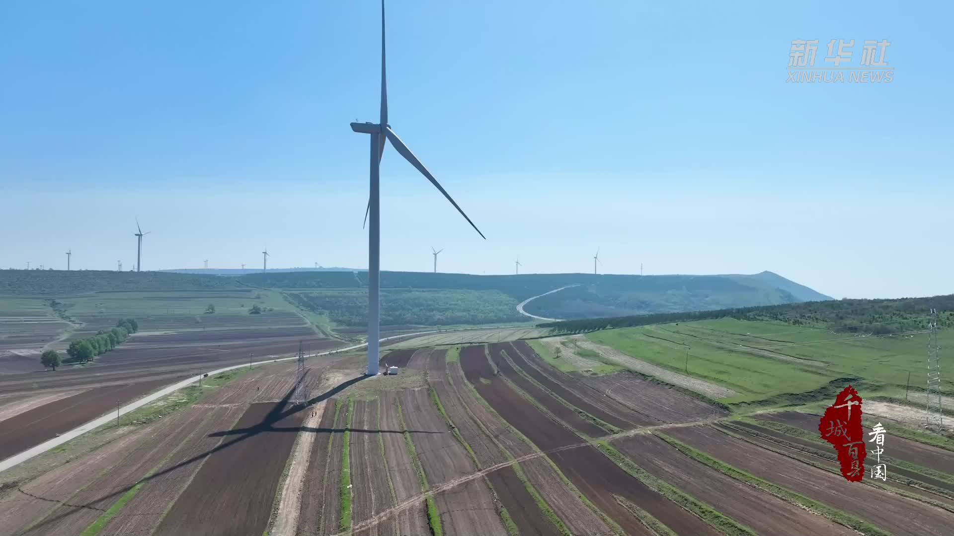 千城百县看中国｜河北张家口：莜麦夏播忙