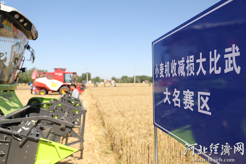 2025年河北省小麦机收减损大比武观摩活动现场。河北经济日报记者 李佳琦 摄