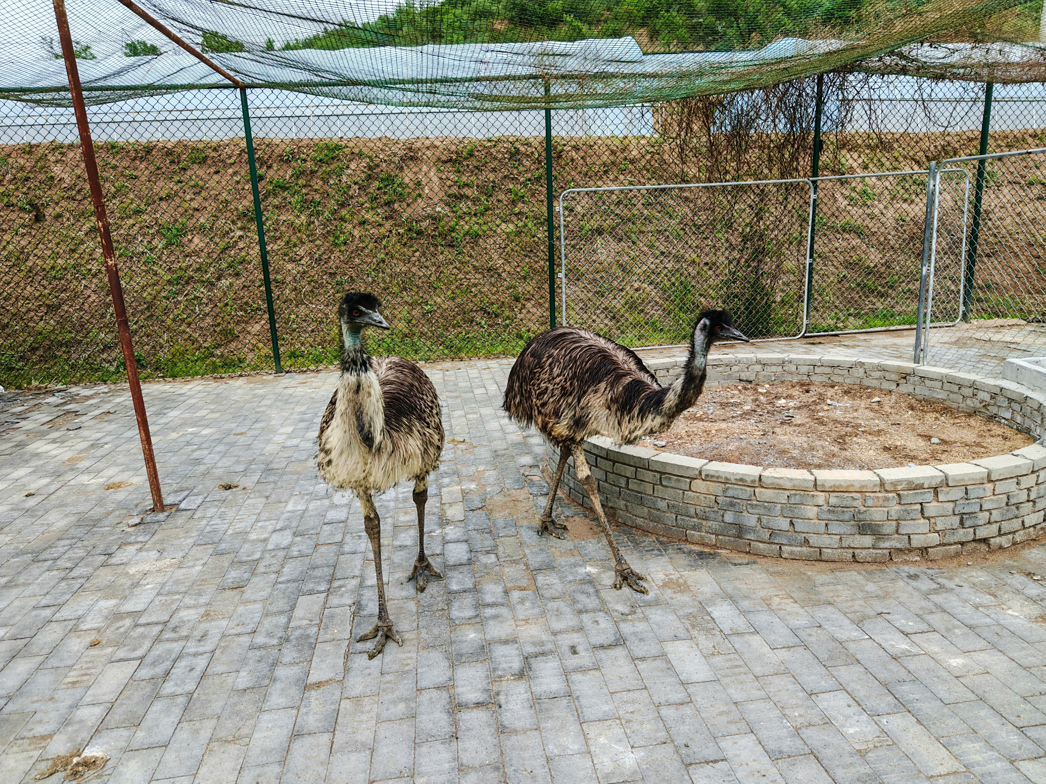 从黑色经济到绿色产业　华亭乡村华丽蝶变