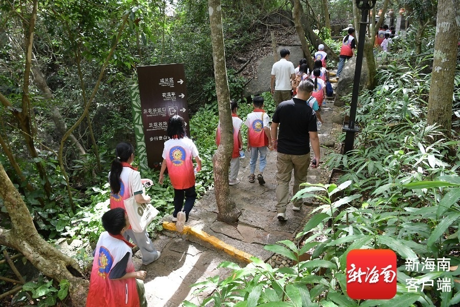 6月1日，小朋友们在三亚亚龙湾热带天堂森林旅游区研学。通讯员 黄庆优 摄