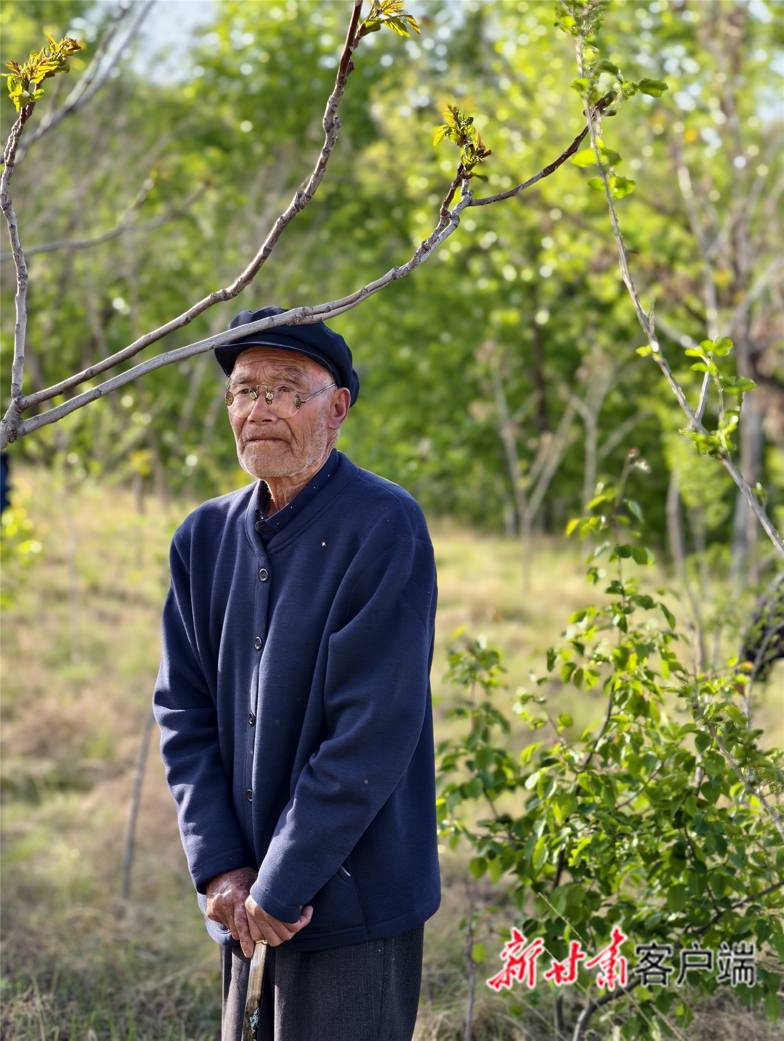 卢应忠当年种树的地方已经绿树成荫（临夏州融媒体中心供图）