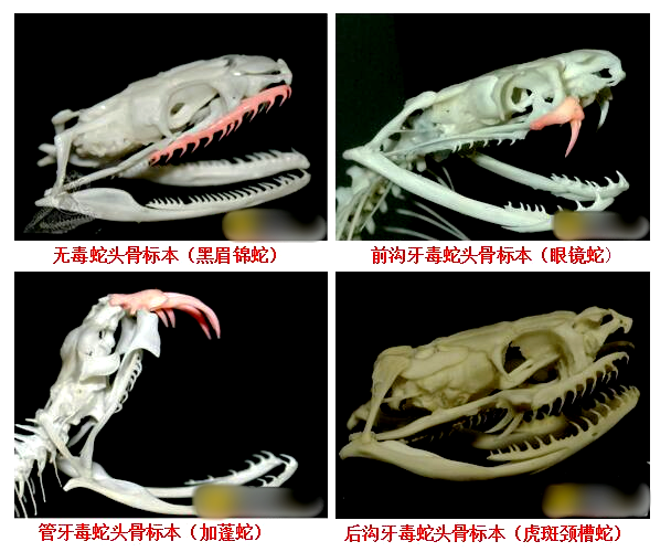 图源：中国消防