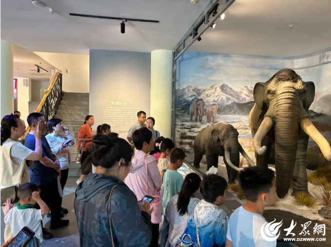 文化场馆 热度爆棚