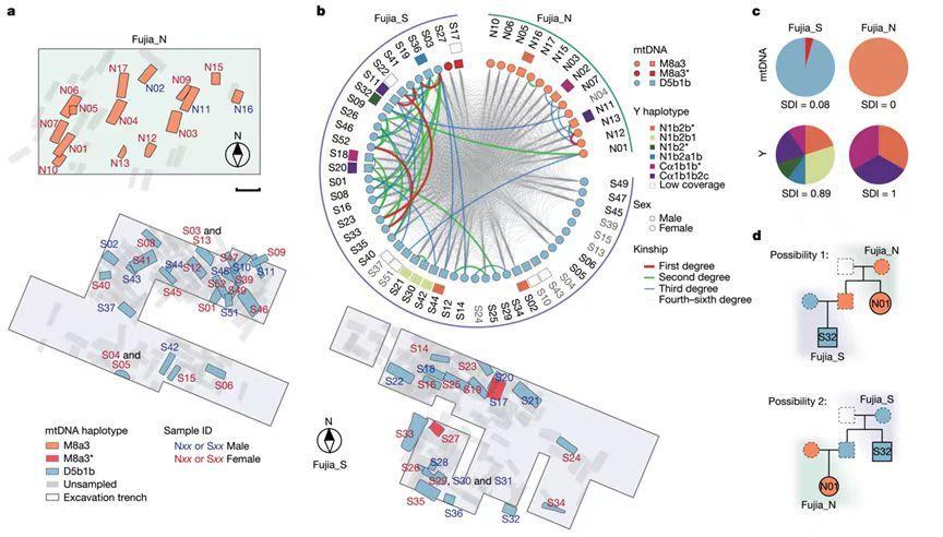 图源：北京大学考古文博学院网站