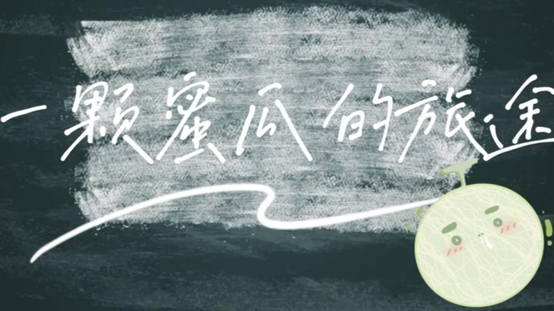 一颗蜜瓜的旅途