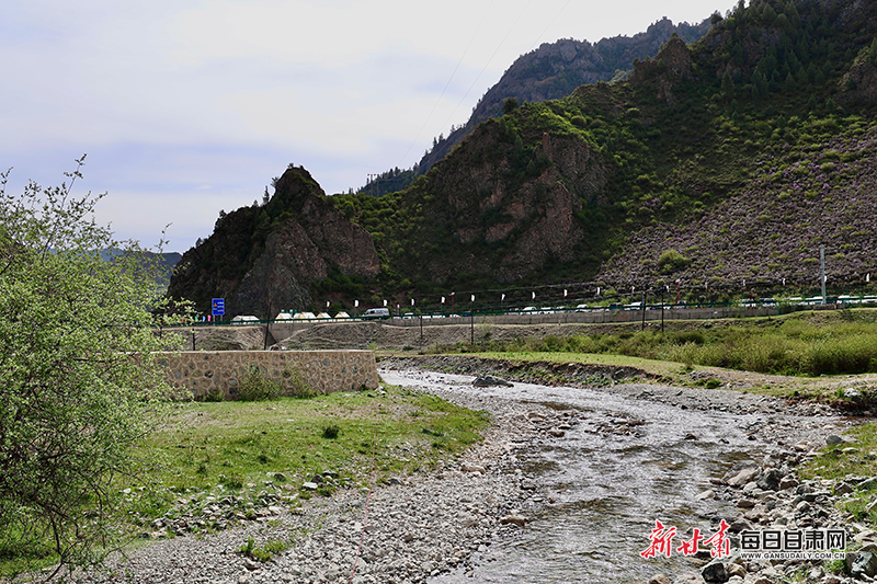 【2025甘肃生态环保行】天祝县"三北"工程绘就双赢画卷