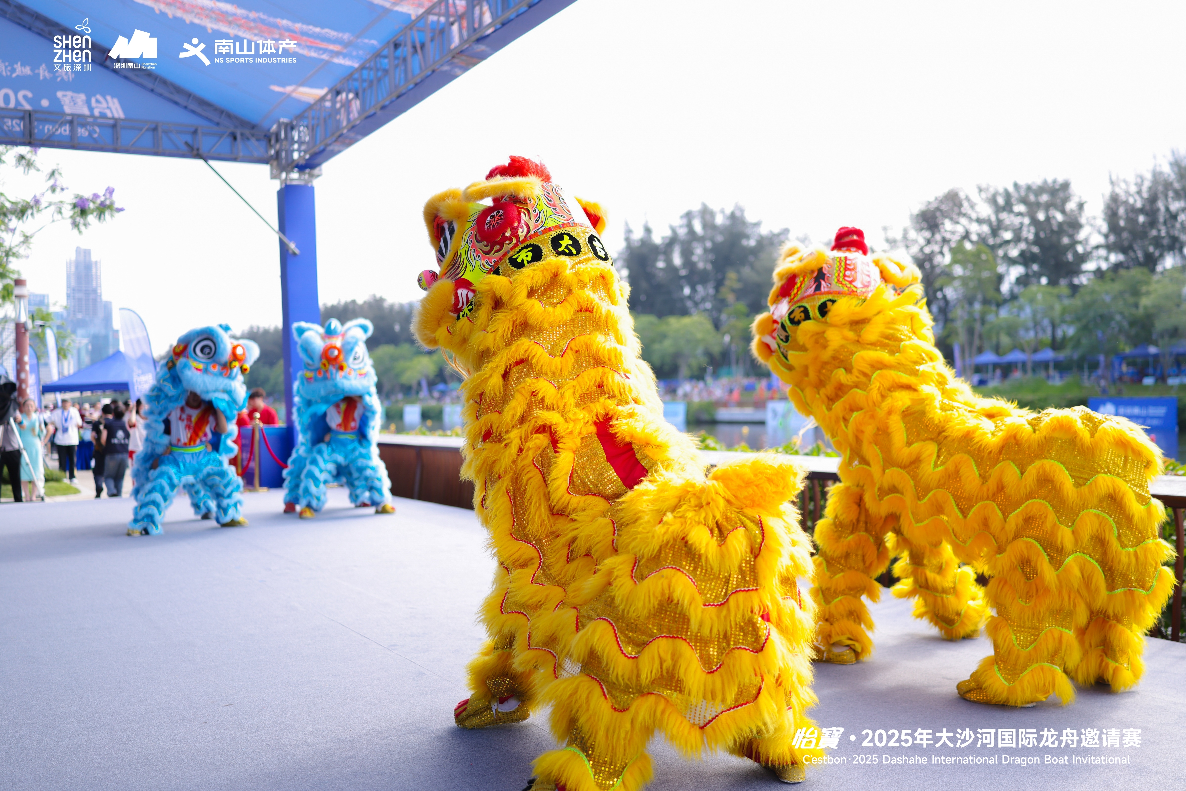 龙舟竞渡迎端午，怡寳・2025年大沙河国际龙舟邀请赛圆满举行