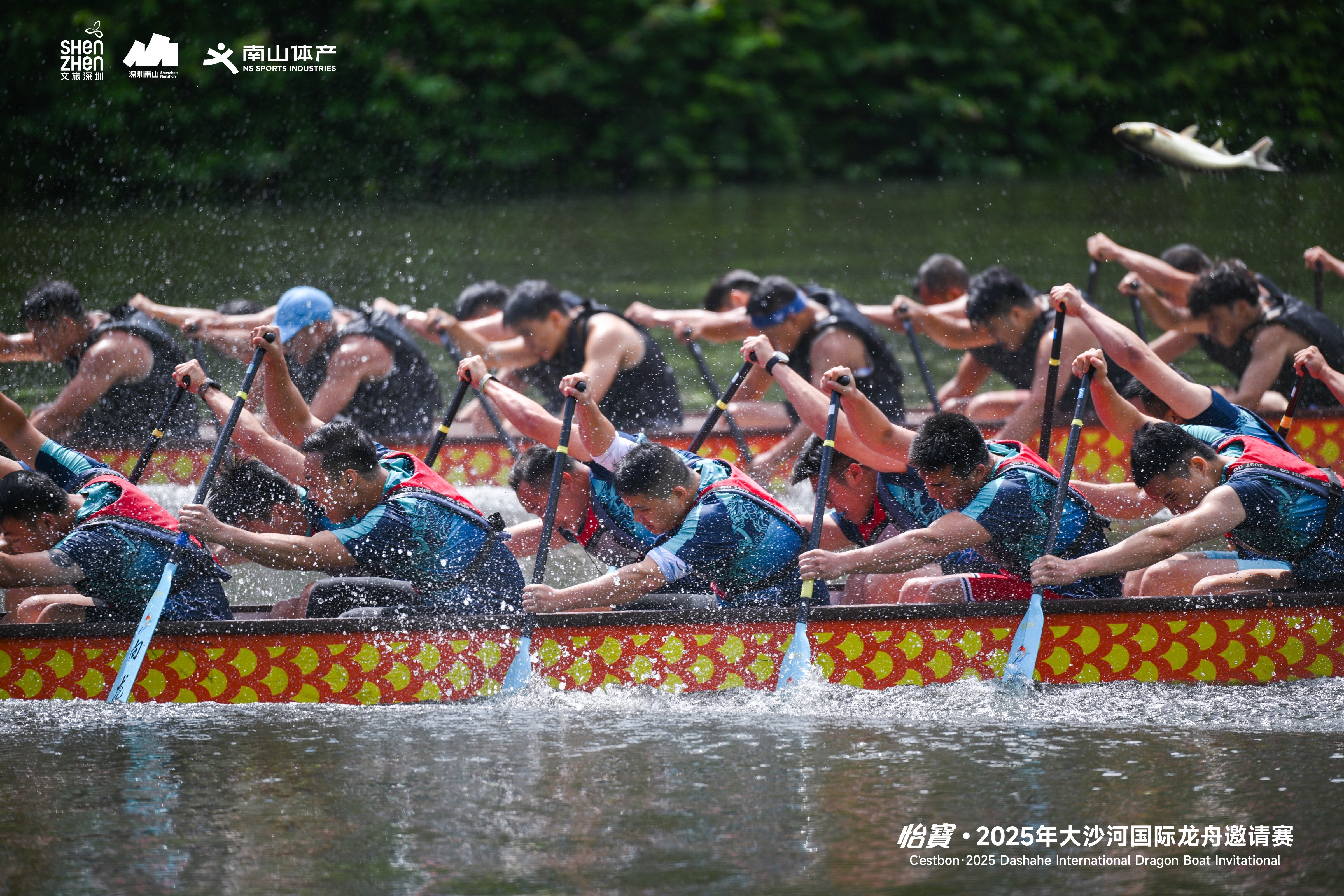 龙舟竞渡迎端午，怡寳・2025年大沙河国际龙舟邀请赛圆满举行