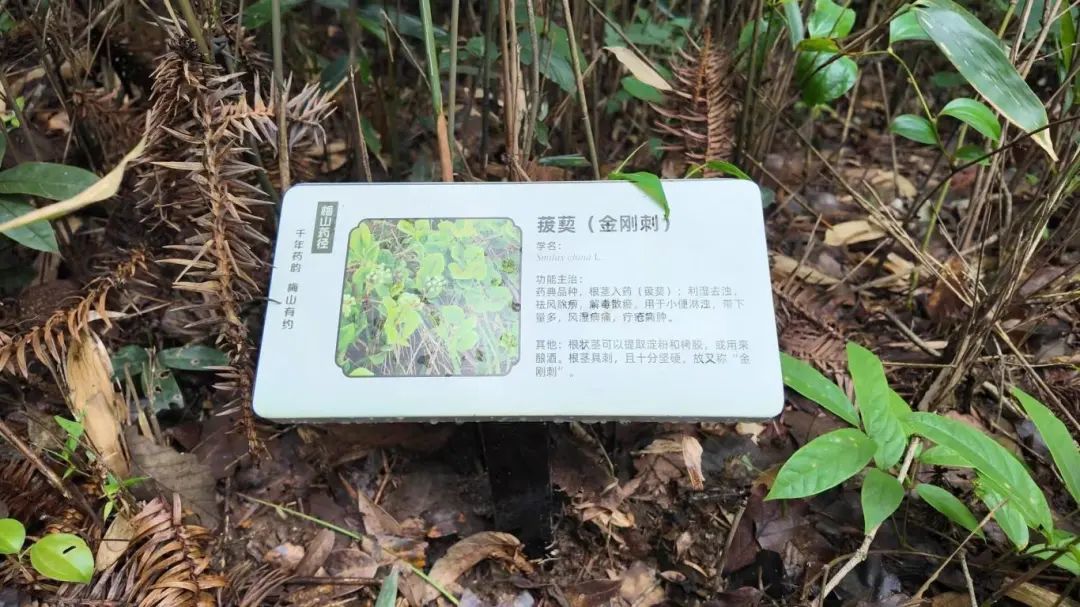 QQ图片20250530121242.jpg