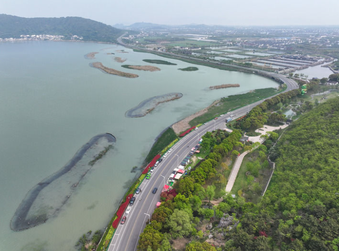 2024年4月11日拍摄的苏州市吴中区金庭镇环太湖湿地带修复项目。新华社记者 季春鹏 摄