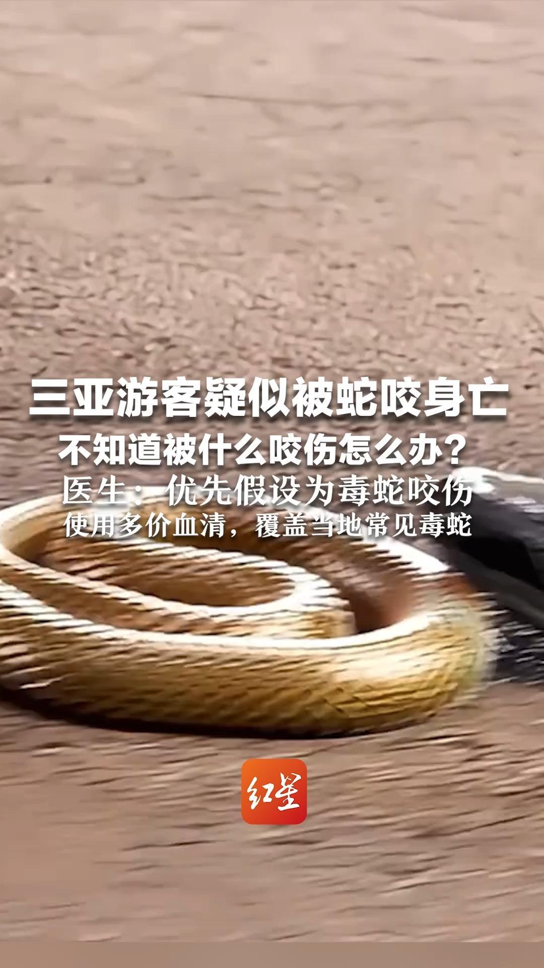 三亚游客疑似被蛇咬身亡，不知道被什么咬伤怎么办？医生：优先假设为毒蛇咬伤 使用多价血清，覆盖当地常见毒蛇
