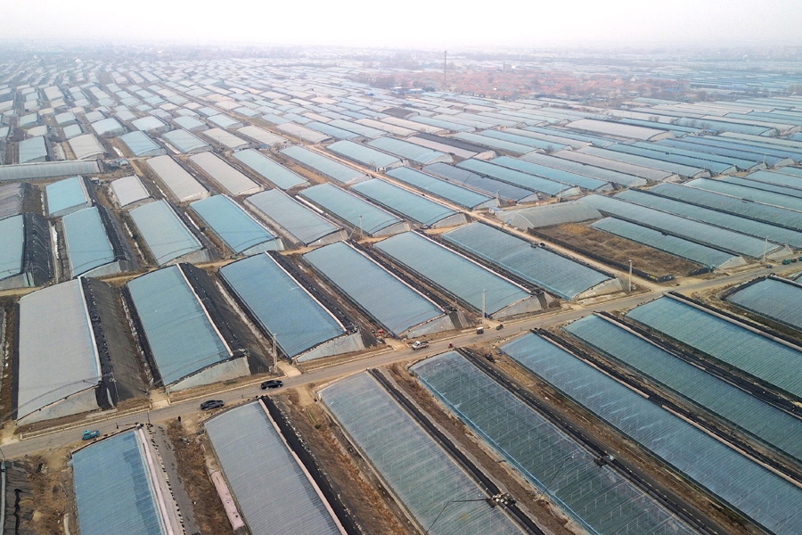 这是位于寿光市稻田镇的蔬菜大棚（1月22日摄，无人机照片）。 新华社记者 徐速绘 摄