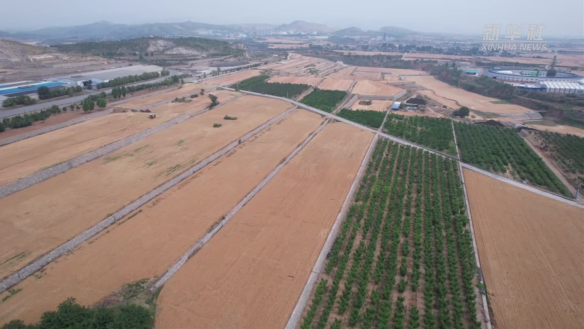 科技赋能“丘陵地”变身“种子田”