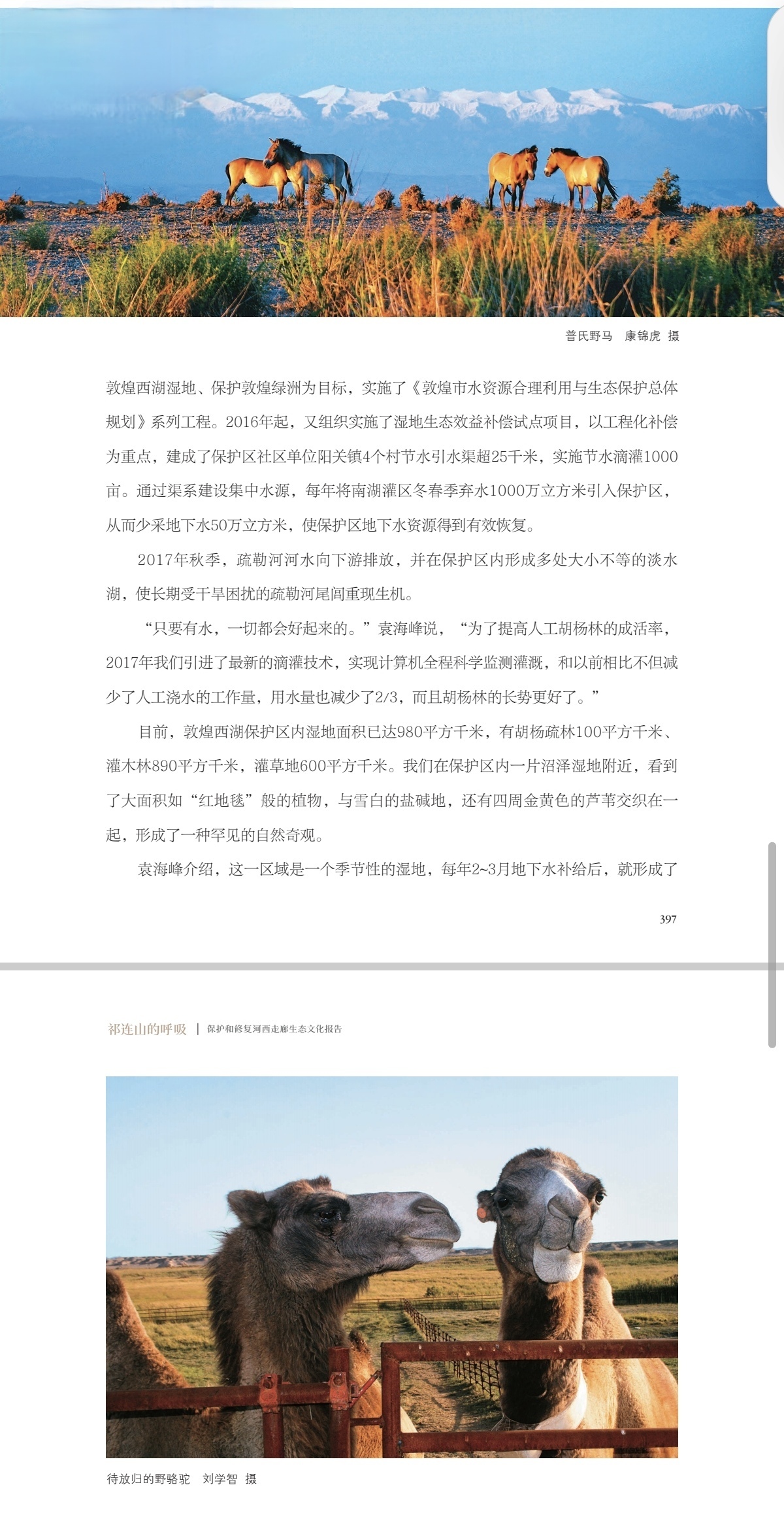 《祁连山的呼吸》内文样章