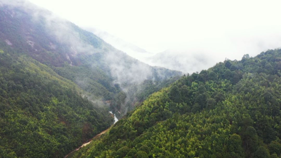 崇義縣齊云山