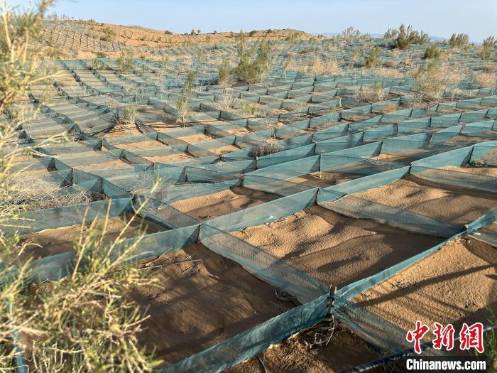 图为尼龙网治沙 戴文昌 摄